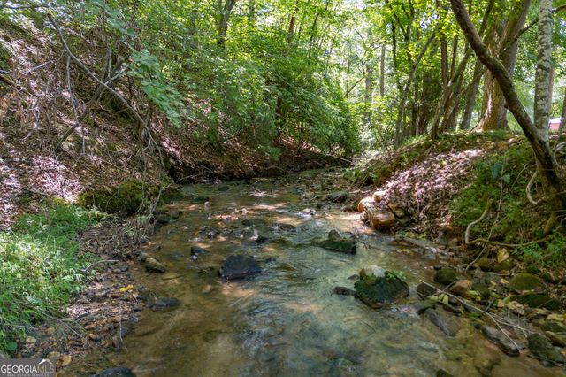 170 Dogpatch Lane, Blue Ridge, GA 30513