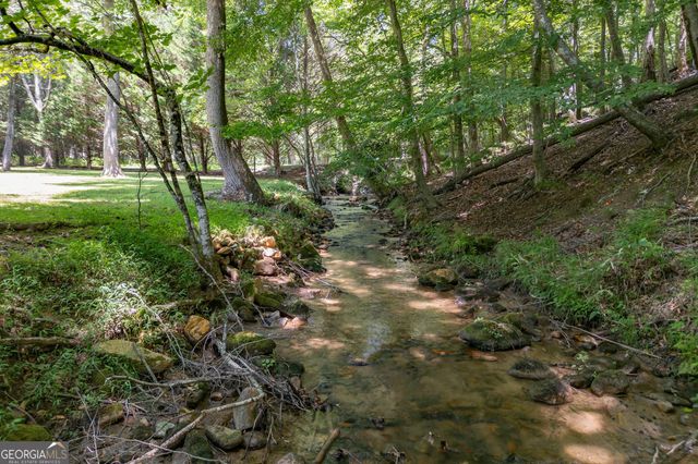 170 Dogpatch Lane, Blue Ridge, GA 30513