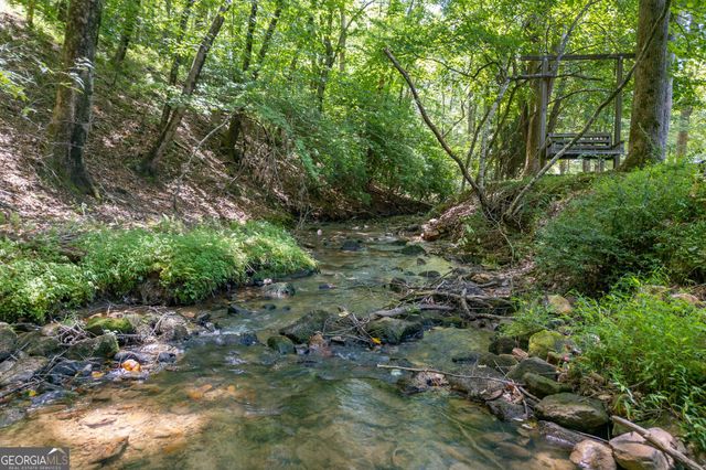 170 Dogpatch Lane, Blue Ridge, GA 30513