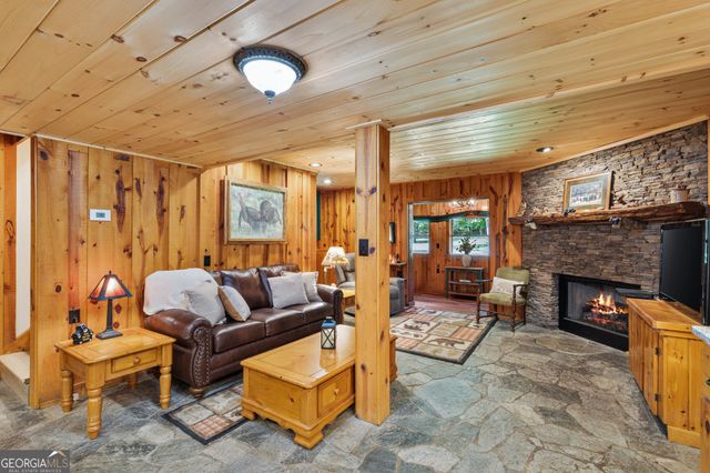 170 Dogpatch Lane, Blue Ridge, GA 30513