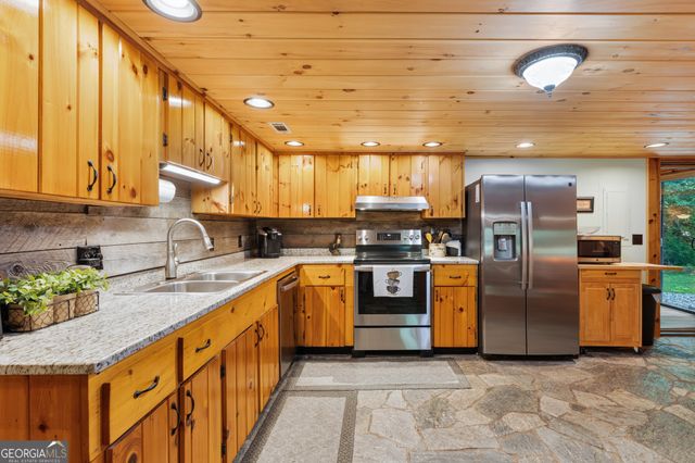170 Dogpatch Lane, Blue Ridge, GA 30513