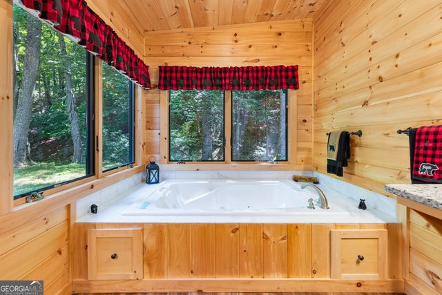 170 Dogpatch Lane, Blue Ridge, GA 30513