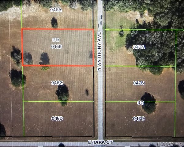 2956 N Anthony Avenue, Hernando, FL 34442