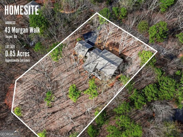 43 Morgan Walk, Big Canoe, GA 30143