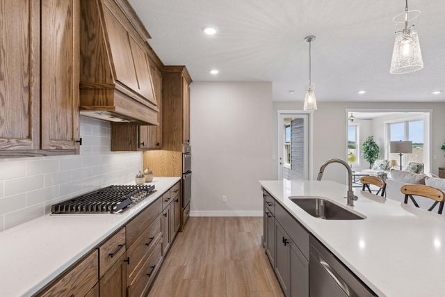 1465 Kasilof Court, River Falls, WI 54022