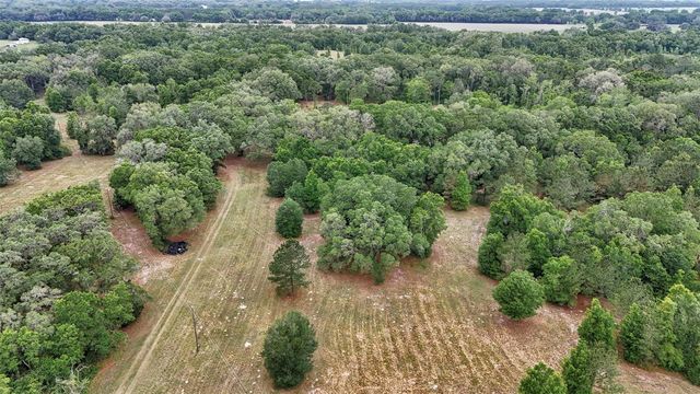 650 NE 200TH AVENUE, Williston, FL 32696