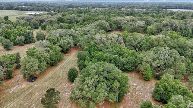 650 NE 200TH AVENUE, Williston, FL 32696