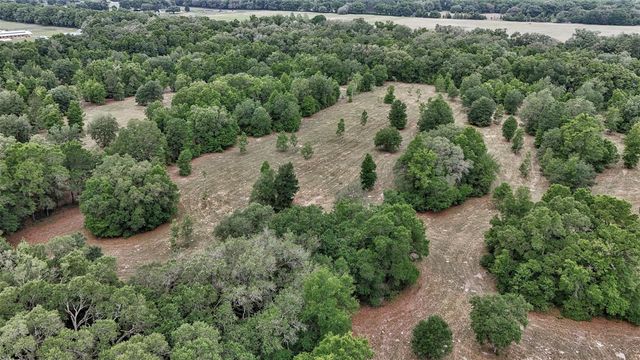 650 NE 200TH AVENUE, Williston, FL 32696