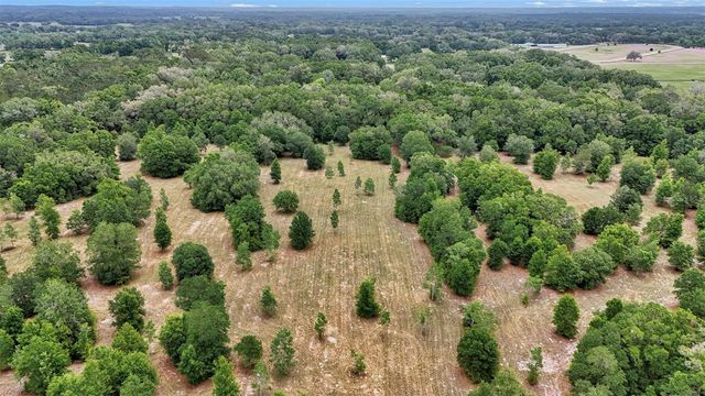 650 NE 200TH AVENUE, Williston, FL 32696