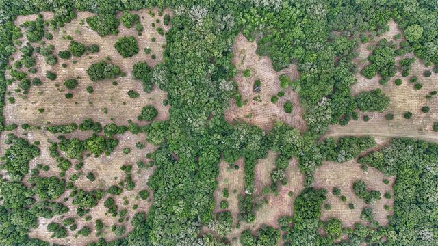 650 NE 200TH AVENUE, Williston, FL 32696