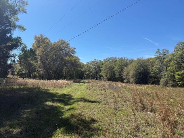 650 NE 200TH AVENUE, Williston, FL 32696