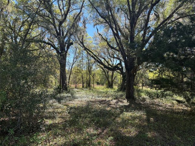 650 NE 200TH AVENUE, Williston, FL 32696