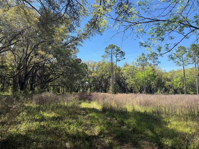 650 NE 200TH AVENUE, Williston, FL 32696