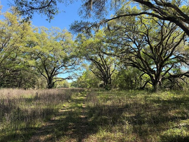 650 NE 200TH AVENUE, Williston, FL 32696