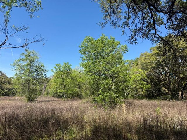 650 NE 200TH AVENUE, Williston, FL 32696
