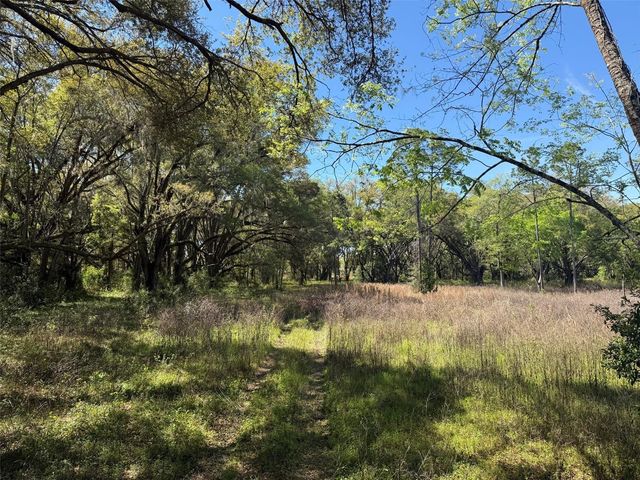 650 NE 200TH AVENUE, Williston, FL 32696