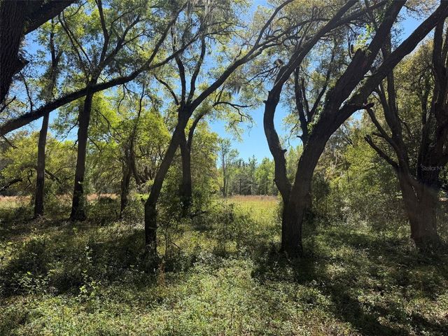 650 NE 200TH AVENUE, Williston, FL 32696