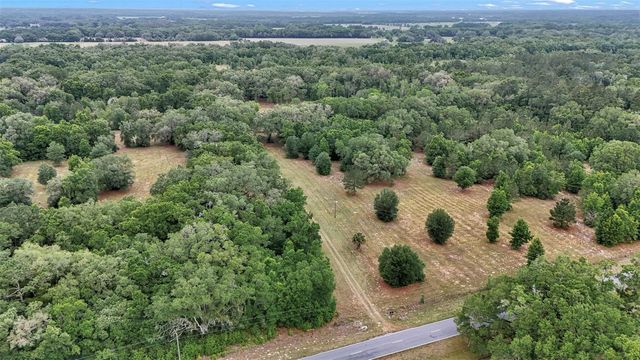 650 NE 200TH AVENUE, Williston, FL 32696