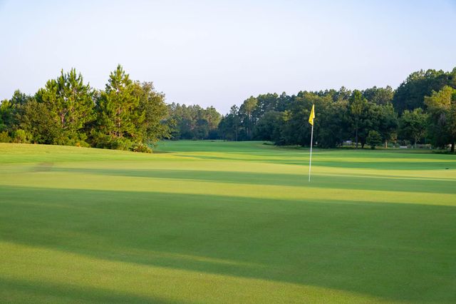 22 E Seabrook Way Lot 36, Watersound, FL 32461