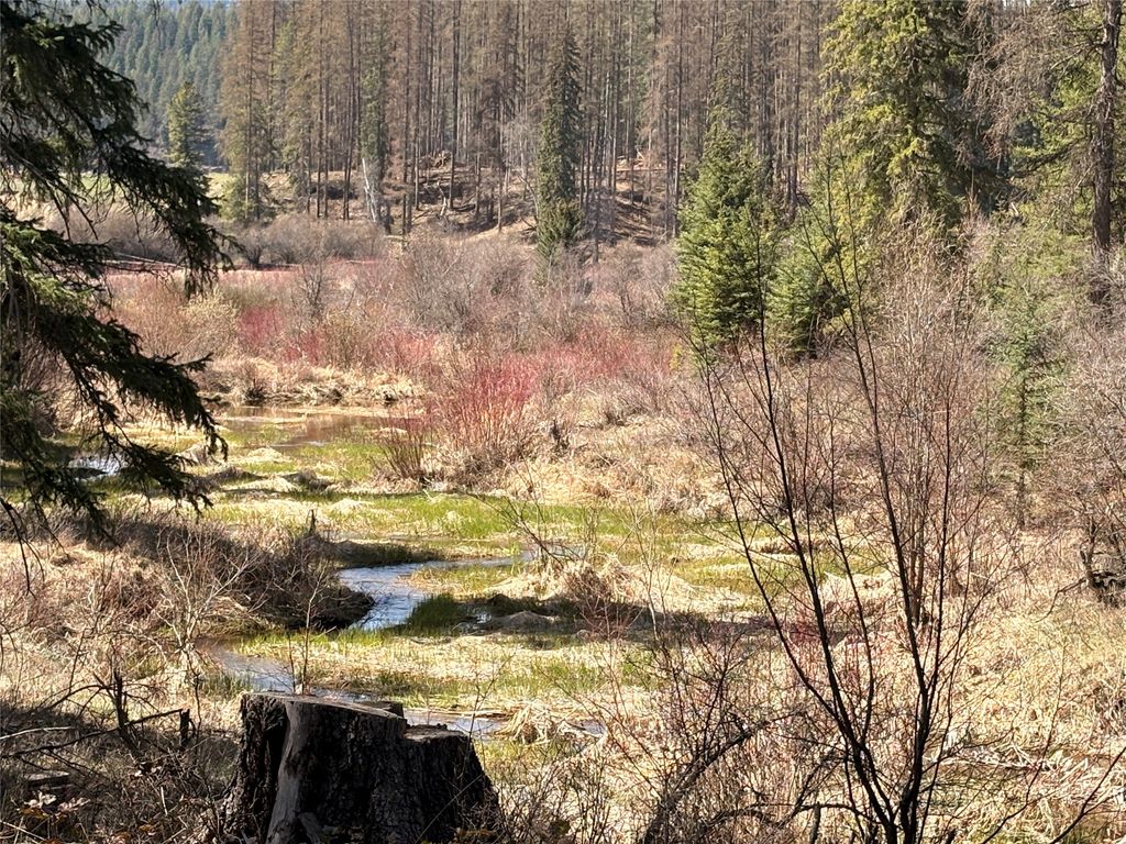 4891 & 4875 US Highway 93 W, Whitefish, MT 59937 photo 87