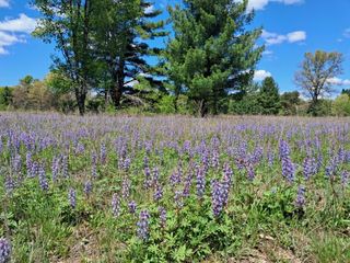 12.86AC Barberry Avenue, Newaygo, MI 49337