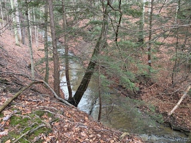 3811 Schintzius Road, Eden, NY 14057