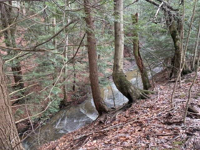 3811 Schintzius Road, Eden, NY 14057