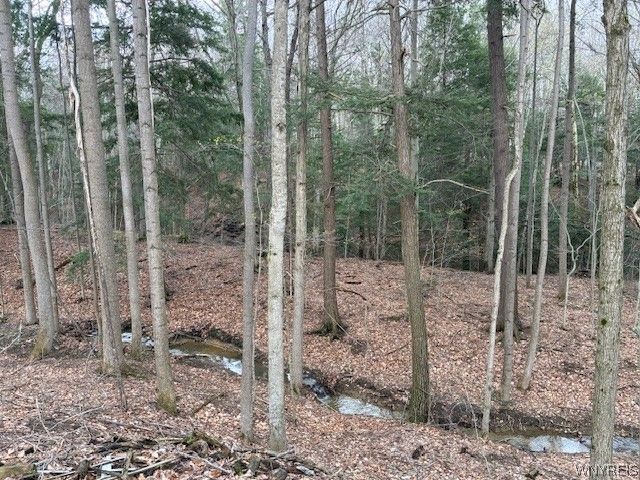 3811 Schintzius Road, Eden, NY 14057