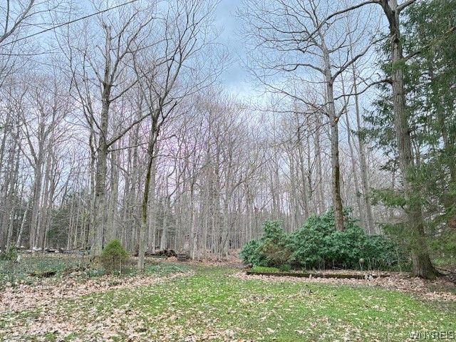3811 Schintzius Road, Eden, NY 14057
