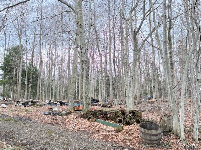 3811 Schintzius Road, Eden, NY 14057