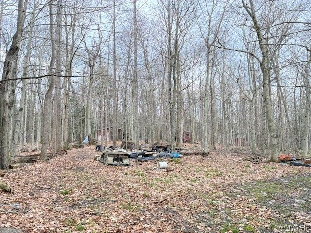 3811 Schintzius Road, Eden, NY 14057