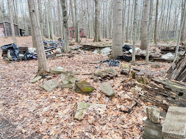 3811 Schintzius Road, Eden, NY 14057