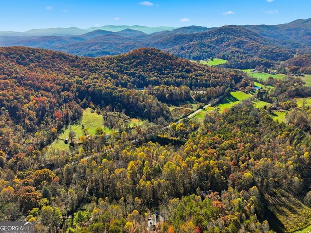 138 Cottonwood Lane, Blue Ridge, GA 30513