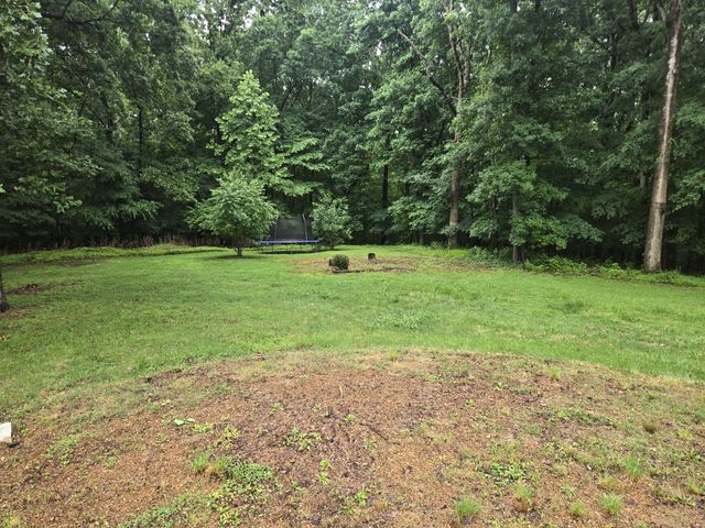 955 Dogwood Dr, New Johnsonville, TN 37134