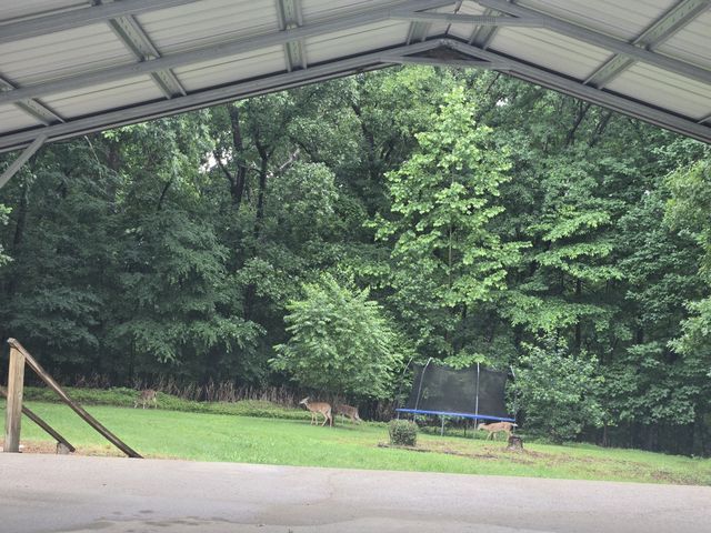 955 Dogwood Dr, New Johnsonville, TN 37134