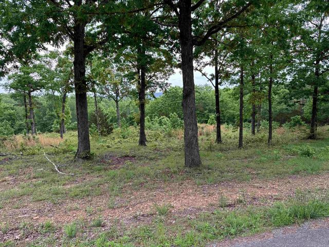 TRACT 2 Waters Edge Drive, Edgemont, AR 72044