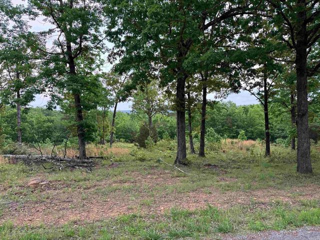 TRACT 2 Waters Edge Drive, Edgemont, AR 72044