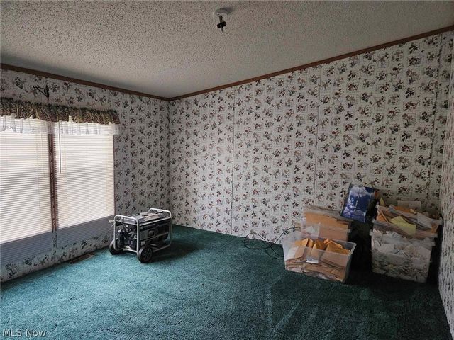 10039 State Route 700 Lot 118, Mantua, OH 44255