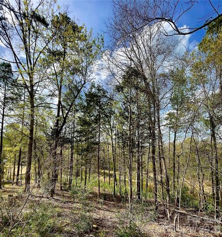 2409 Falling Leaf Court 69, Rock Hill, SC 29732