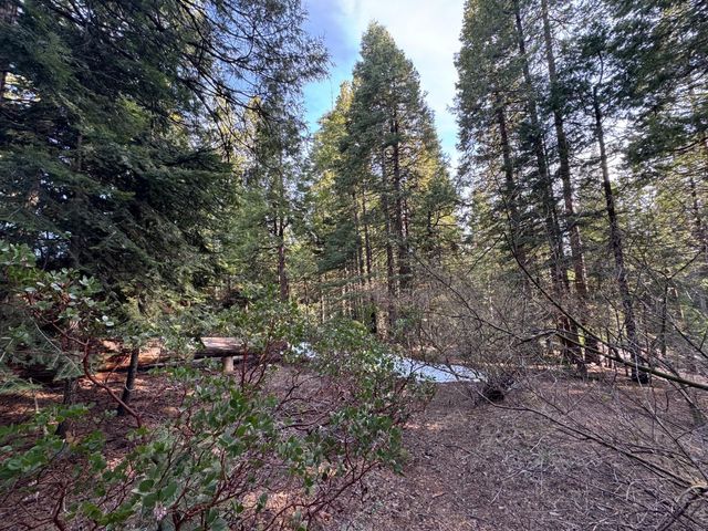 19 Rock Shelf Lane, Shaver Lake, CA 93664