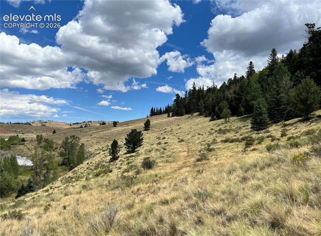 Highway 160, Fort Garland, CO 81133 — photo 3