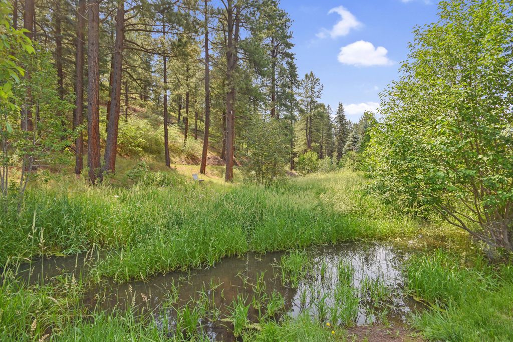 Image 21 of property listing at 26821 New Mexico 126, Jemez Springs, NM 87025