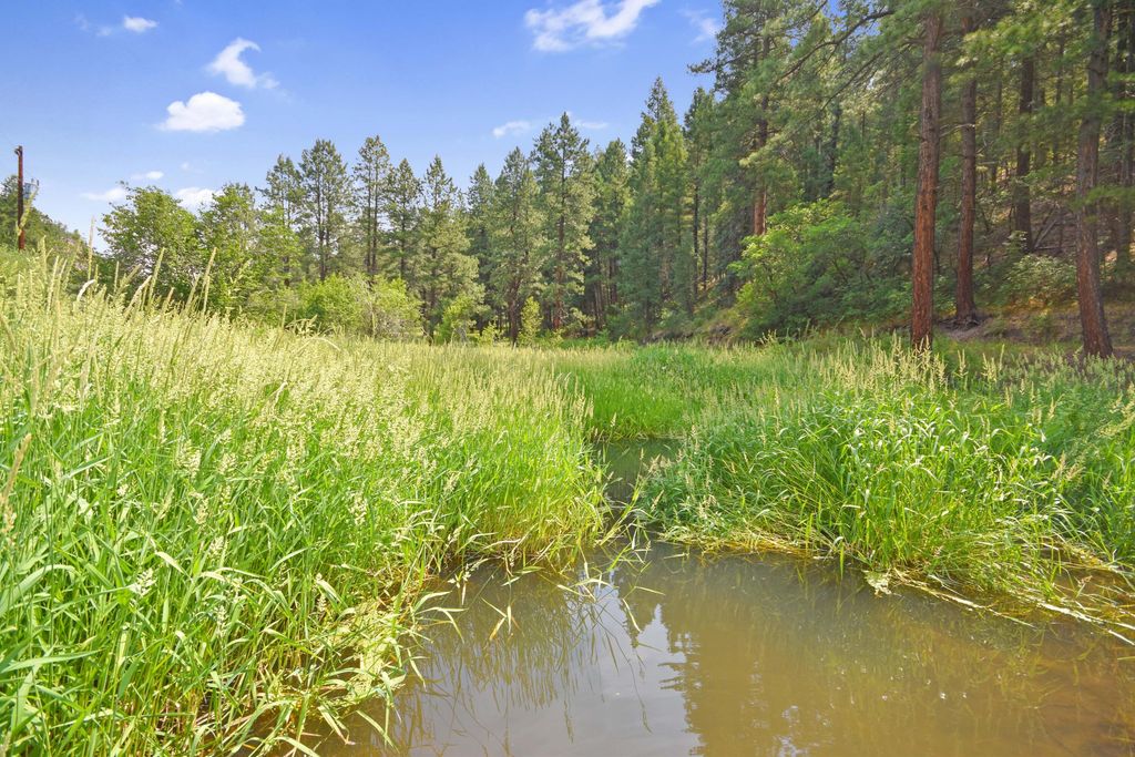 Image 3 of property listing at 26821 New Mexico 126, Jemez Springs, NM 87025