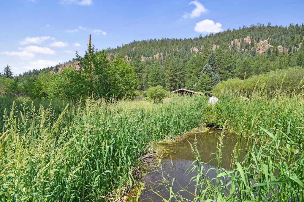 Image 31 of property listing at 26821 New Mexico 126, Jemez Springs, NM 87025