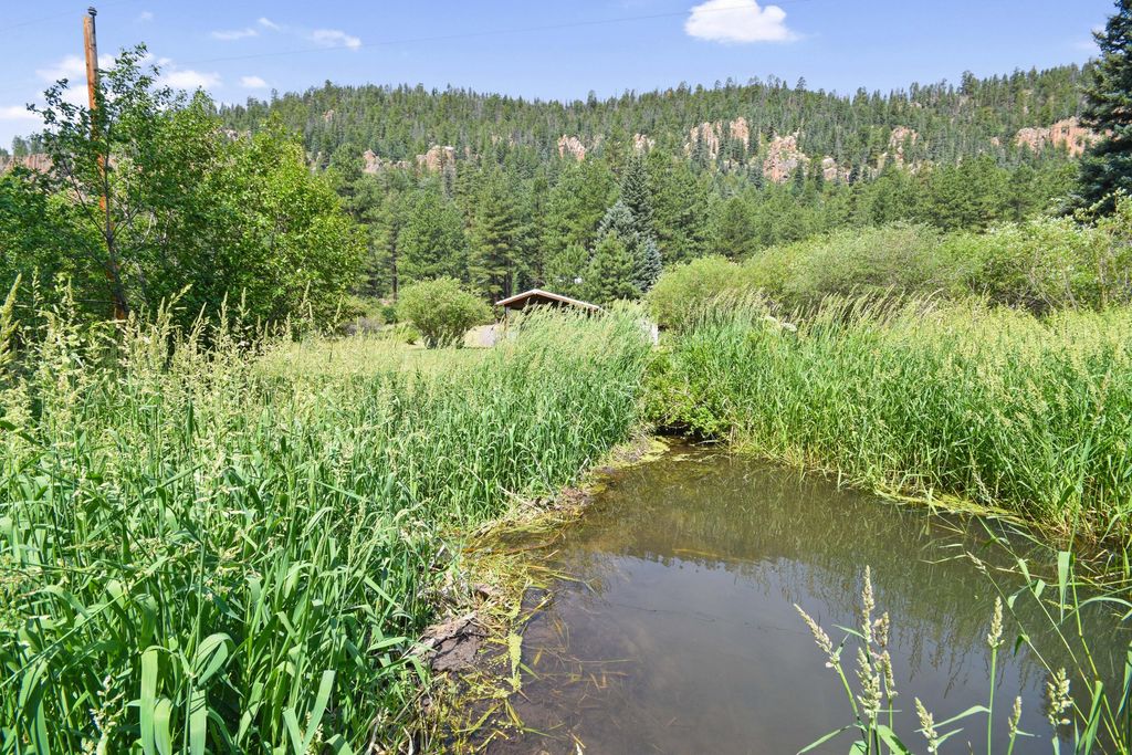 Image 7 of property listing at 26821 New Mexico 126, Jemez Springs, NM 87025