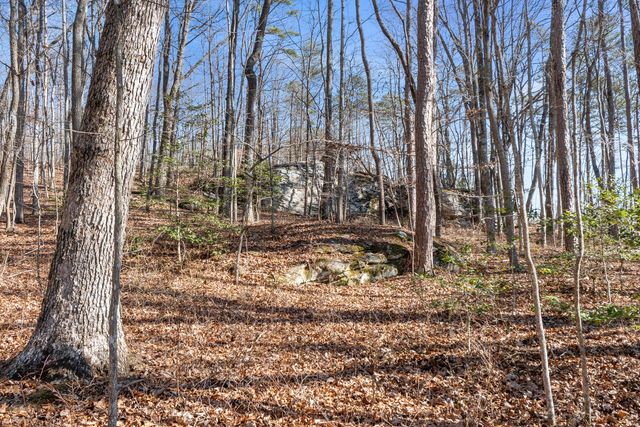 0 Tall Tree Trail 406, Dunlap, TN 37327