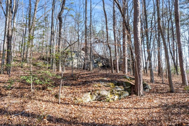 0 Tall Tree Trail 406, Dunlap, TN 37327