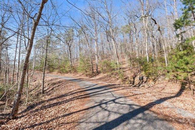 0 Tall Tree Trail 406, Dunlap, TN 37327