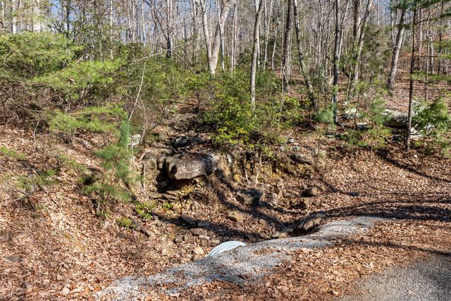 0 Tall Tree Trail 406, Dunlap, TN 37327