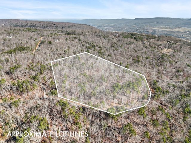0 Tall Tree Trail 406, Dunlap, TN 37327